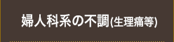 婦人科系の不調(生理痛等)